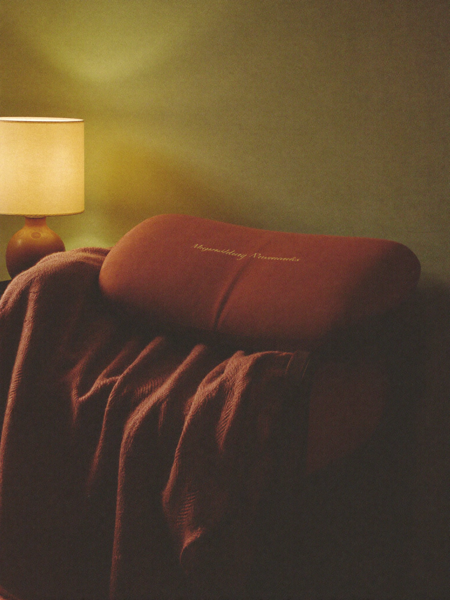 A cozy reading corner with a massage cushion and terracotta knit blanket